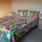 Calendula كوراتو