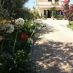 Calendula فيلة