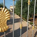 Calendula * كوراتو