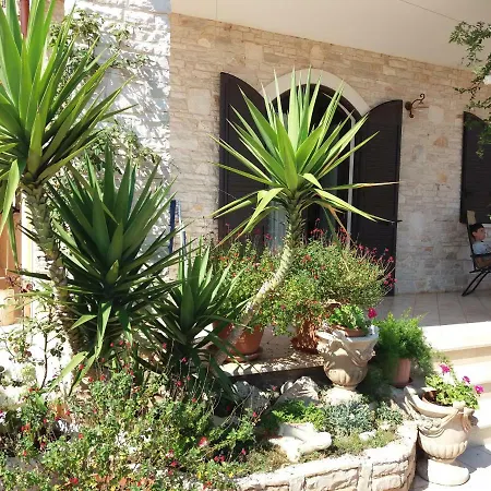 Calendula * コラート