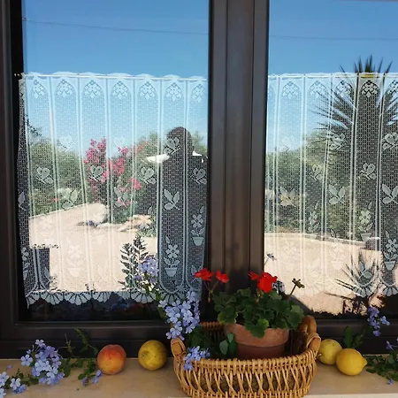 Calendula * コラート