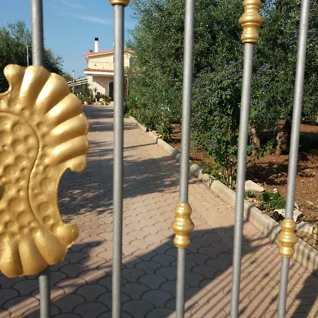 Calendula * コラート