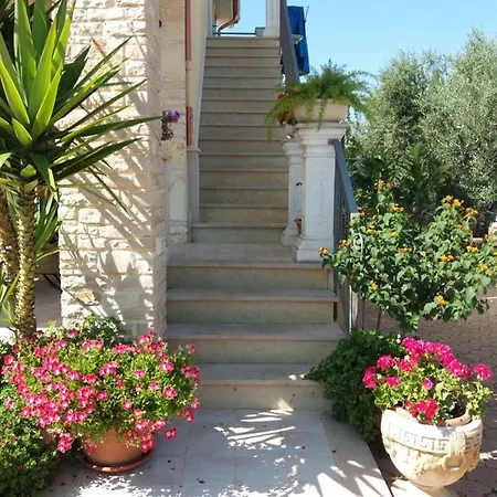 Calendula コラート