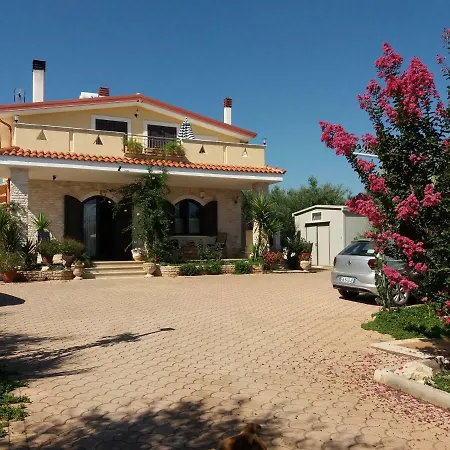 Calendula コラート