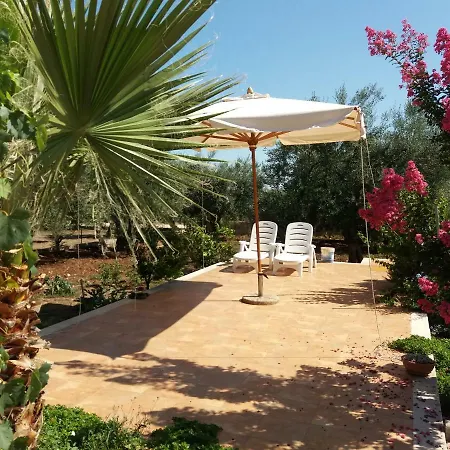 Calendula * コラート