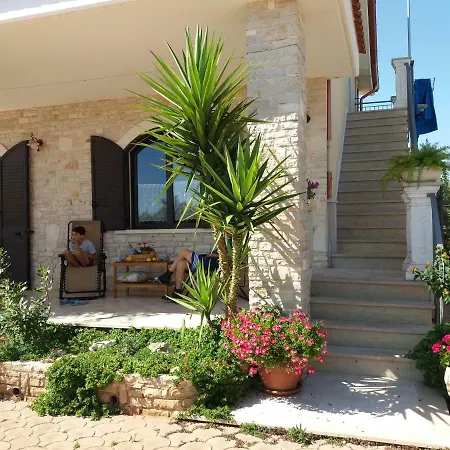 Calendula * コラート